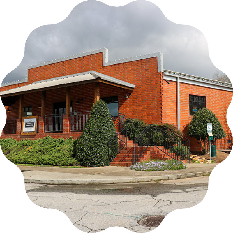 Bowdon-Animal-Hospital-header-img (1)