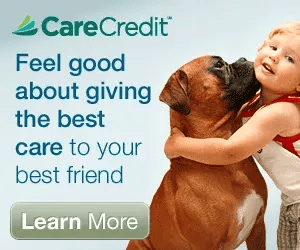 care-credit-button-300x250-1-blue-vet-12_orig