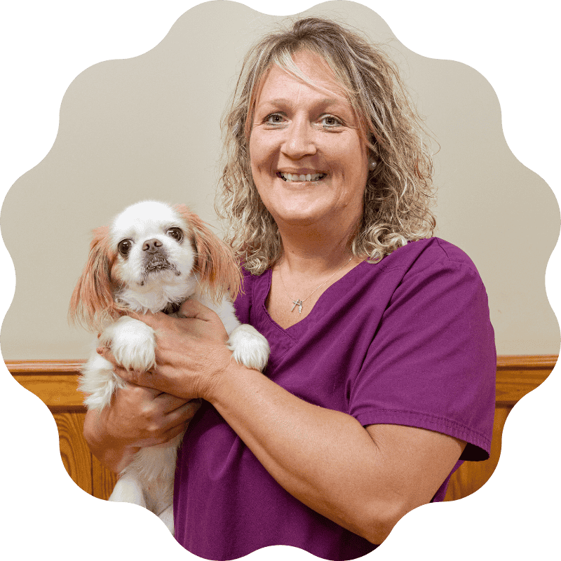 flea-tick-banner
