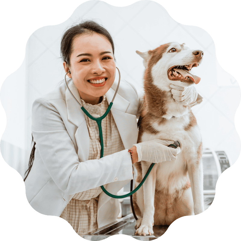 preventive-care-banner