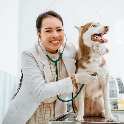 preventive-care
