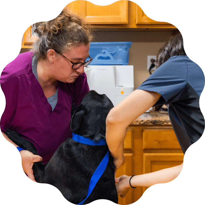 services-banner