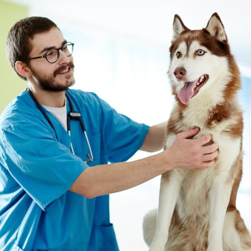 surgical-care