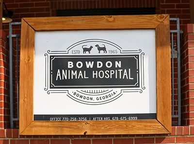 About Bowdon Animal Hospital | Vet In Bowdon, GA 30108