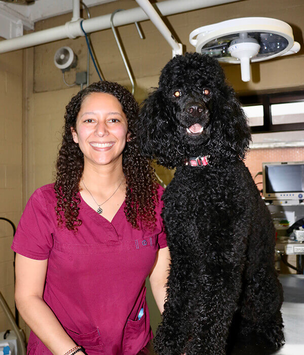 Olivia_Veterinary Assistant